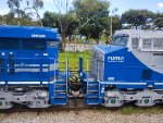 RUMO 9598